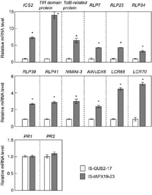 Figure II-4.    Effect of tAPX silencing on the transcript levels of disease-resistance genes
