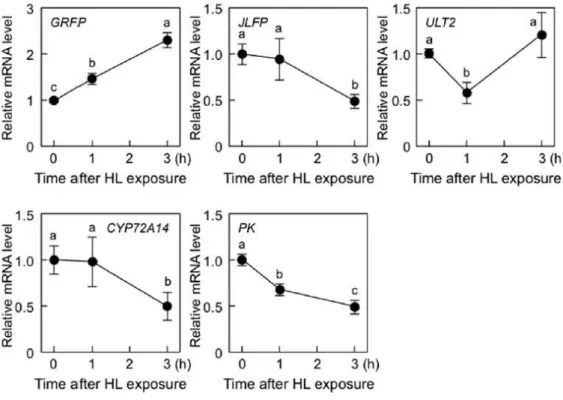 Figure II-11.    Effect of HL on the expression of RTS genes.   