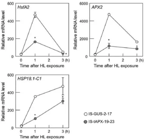 Figure II-13.    Effect of tAPX silencing on expression of ROS-responsive genes under HL