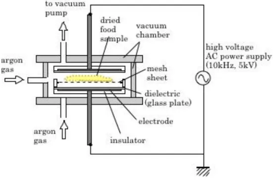 Fig 2: Schematic diagram of low-pressure plasma machine 
