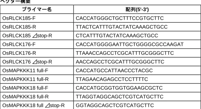 表 3-1  ベクター作成に用いたプライマー  ベクター構築 