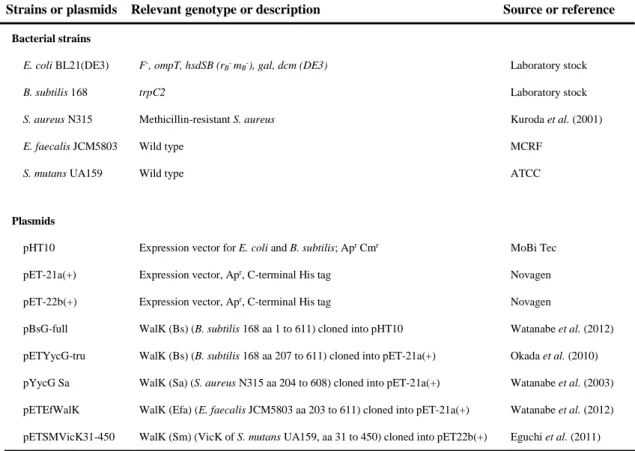 TABLE 3.    Bacterial strains and plasmids used in this study 