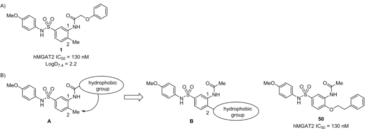 Figure  6-B に示した化合物 50 のコンフォメーションはエネルギー的に不利な状態にある。そこ