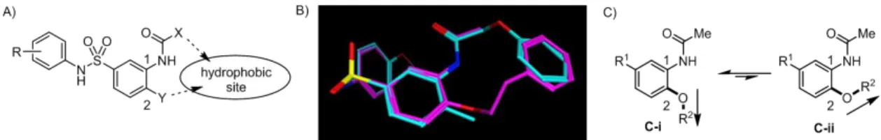 Figure  6.  A)  Presumed  hydrophobic  space  between  the  1-  and  2-positions.  B)  Flexible  alignment  of  compounds 1  (cyan)  and  50  (magenta)  using  MOE
