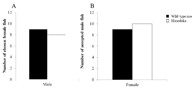 Fig. 7 Columns show the result of the mate choice experiment. Solid and open columns show the number of individuals of wild type and  himedaka, respectively