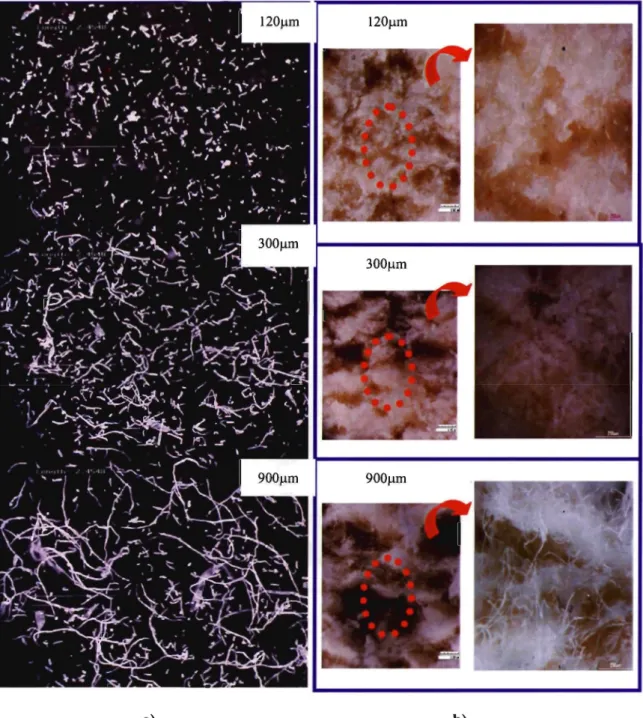Figure  4.4.  Micrographs  of a)  cellulose  fibers  of  120Jlm,  300Jlm  and  900Jlm  length,  and  b)  fractured  surfaces  of  compression  molded  composites  containing  cellulose  fibers  of  120Jlm,  300Jlm  and  900Jlm  lenQ"th 
