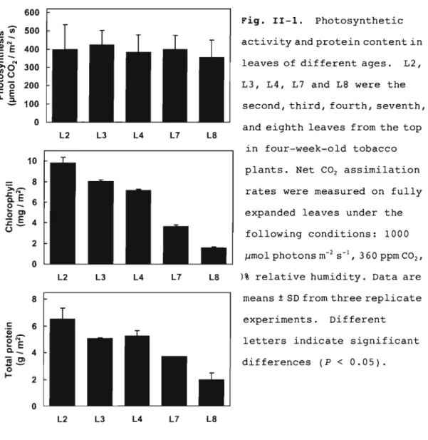 Fig.  II-1.  Photosynthetic  activity and protein content in  leaves  of  different ages