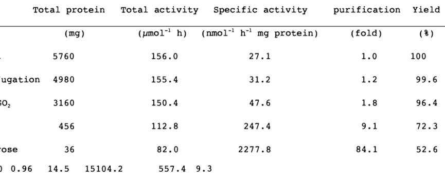 Table  III-l  Purification  for  L-GalDH  from  spinach 
