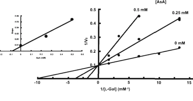 Fig.  III-2.  Inhibition  of  spinach  L-GalDH  by  AsA.  Initial  velocities were  assayed as  described  in the' Material  and Methods'  section with  AsA  at  0,0.25,  or  0.5  mM