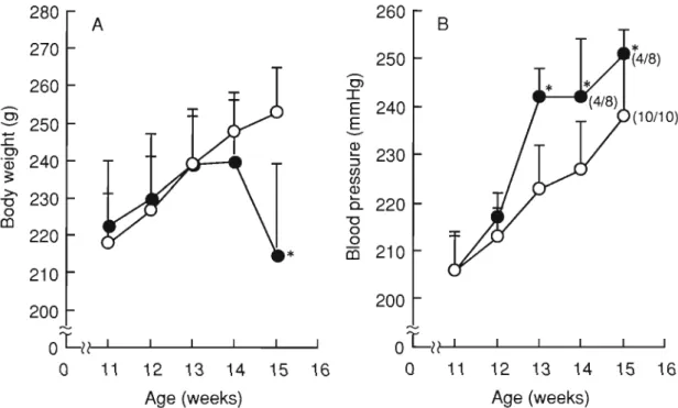 Fig. 2.  Effects of salt loading from  11  weeks of age on body  weight (A)  and blood  press ure (B) of SHRSP ex posed to  low  protein diet in  utero