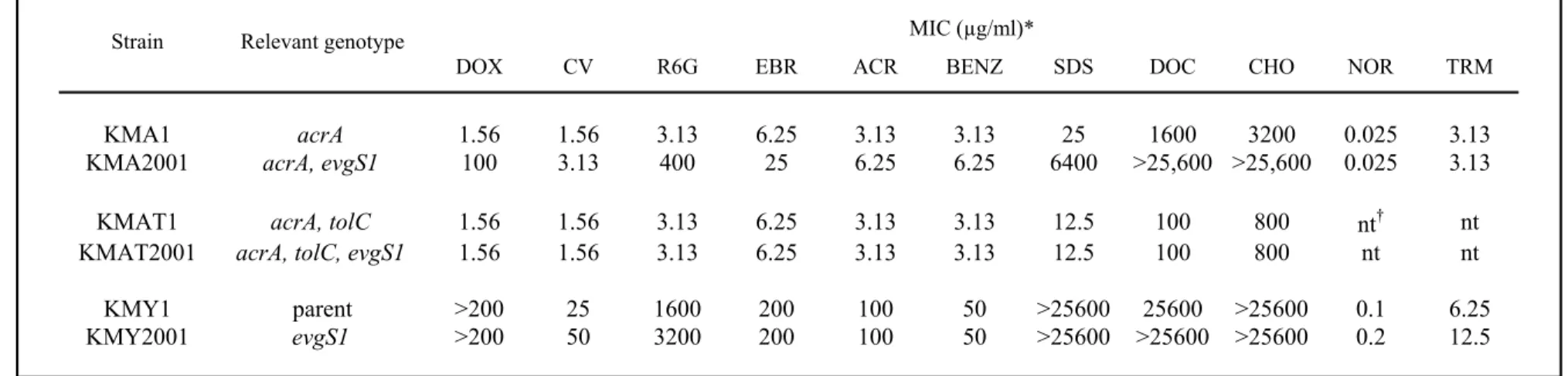 Table 3.  Multidrug resistance of  evgS1 ,  acrA  mutant
