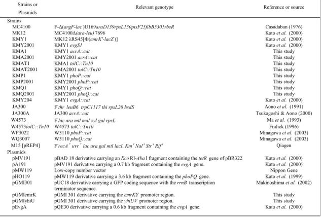 Table 1. Bacterial strains and plasmids used in this study