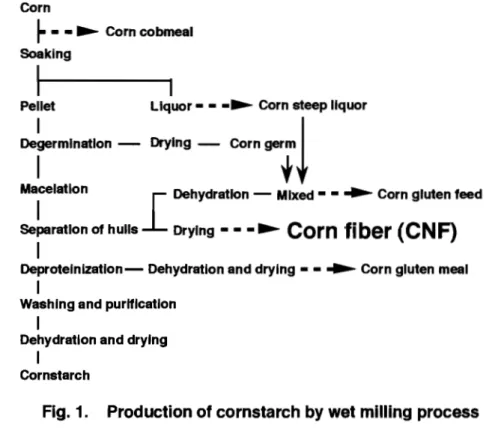 Fig.  1.  Production of cornstarch by wet milling process 