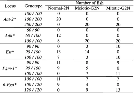 Table  1 1 ・ 3 . Genotypes of t h e   Aat ・ 2 て Adh* ， E s t * ，  Pgm‑1*  and  6‑Pgd* 