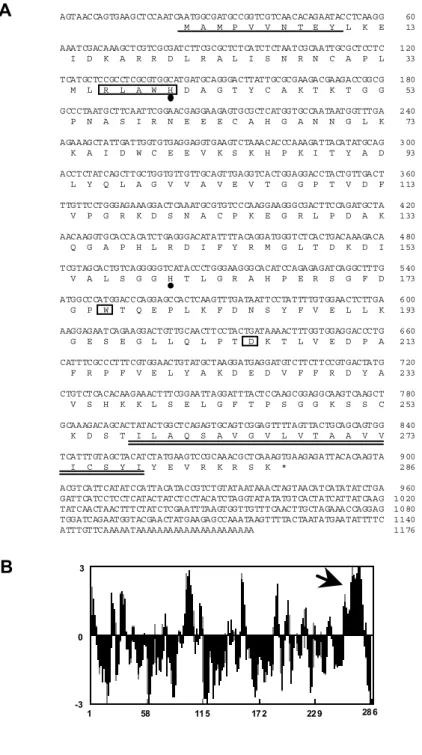 Fig. II-1    Nucleotide and predicted amino acid sequence of the cDNA for spinach gAPX and  hydropathy profile of its amino acid sequence