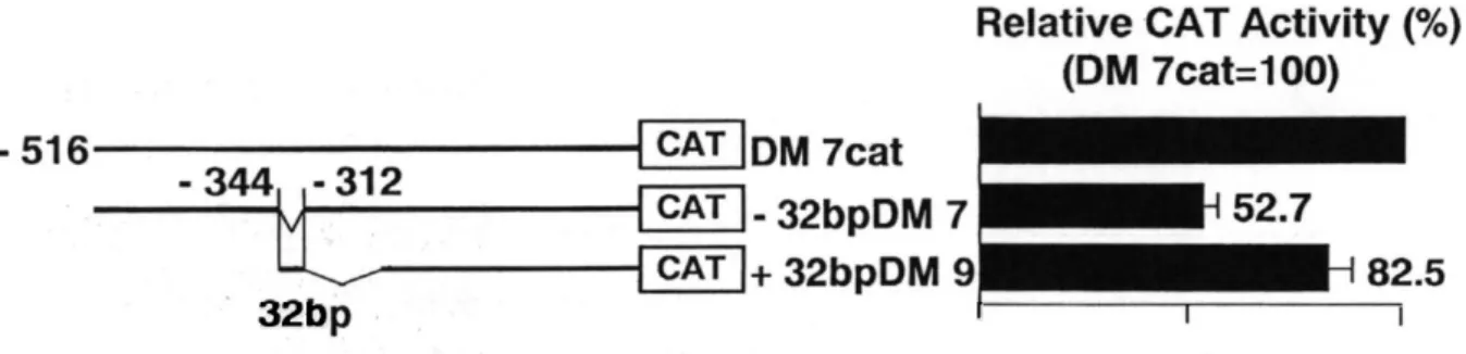 Fig.  3  Effect  of  the  32-bp  DNA  element  on  the  promoter  activity. 