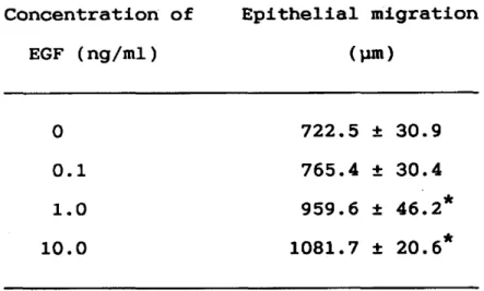 Table  2  Effect  of  EGF  on  epithelial  migration  on  the  organ-          cultured  cornea  Concentration  of  EGF  (ng/ml) Epithelial  migration  (111n) 0   0.1   1.0  10.0 722.5   *  30.9 765.4 ±  30.4 959.6  ±  46.2* 1081.7  ±  20.6* All values   *