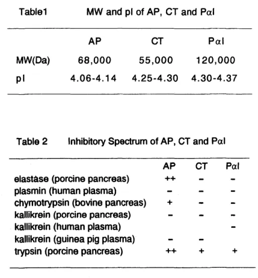 Table 2  I n h i b i t o r y  Spectrum o f  AP ，  CT  and P α l   AP  CT  P α l  e l a s t a s e  ( p o r c i n e  p a n c r e a s )  ++  p l a s m i n  (human plasma)  c h y m o t r y p s i n  ( b o v i n e  p a n c r e a s )  +  k a l l i k r e i n  ( p 