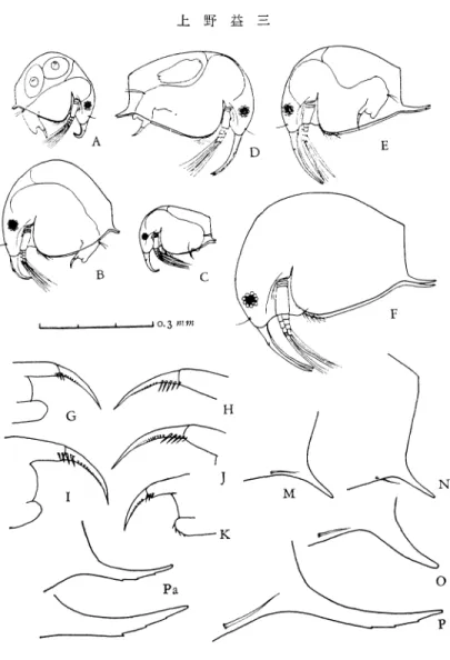 図 2。 βθ Sπ グ πα ′ θ π gグ 知 sノ ガ s(0.Fo Miiller).