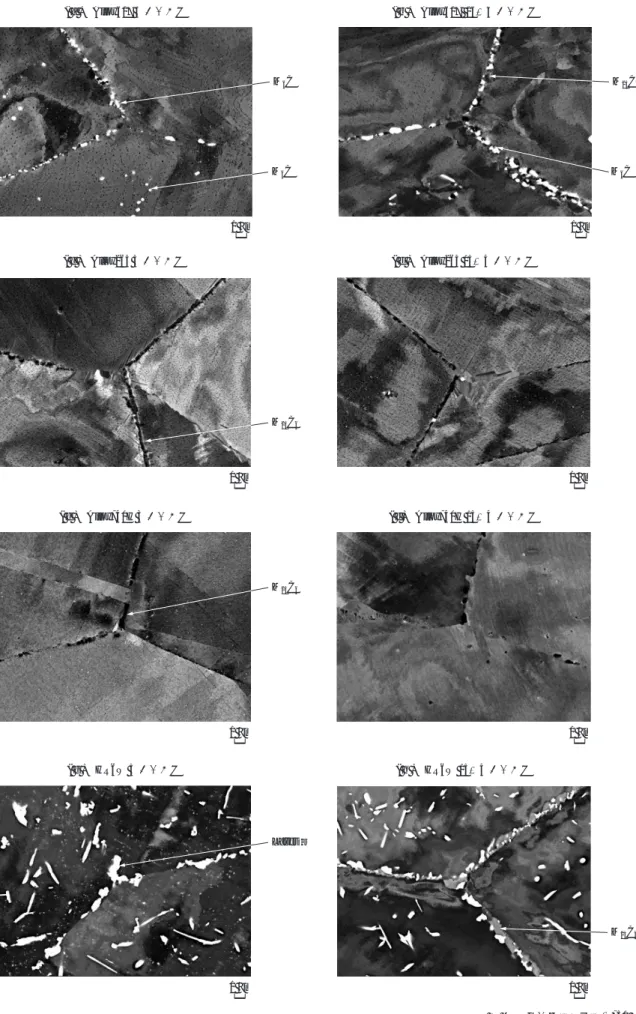 Fig. 3　Microstructures of Ni-based alloys after creep