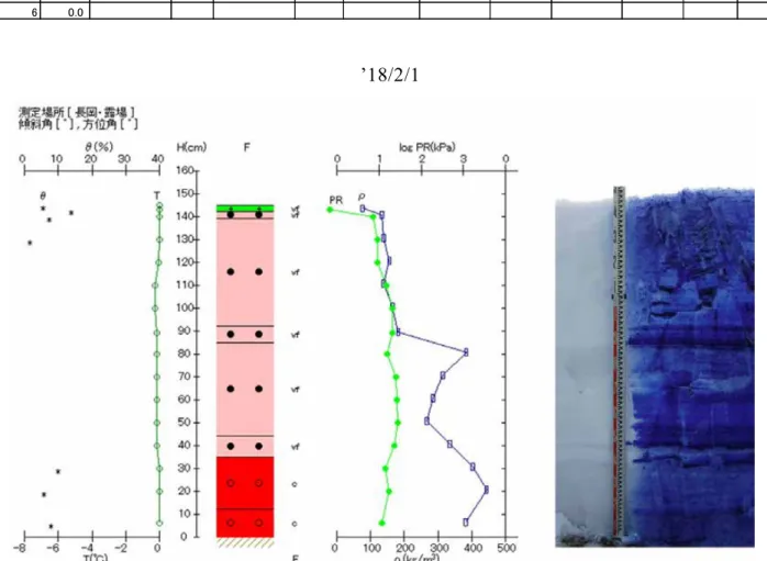 Fig. 6.6  Vertical profile of physical properties of snow at the SIRC on February 1, 2018.