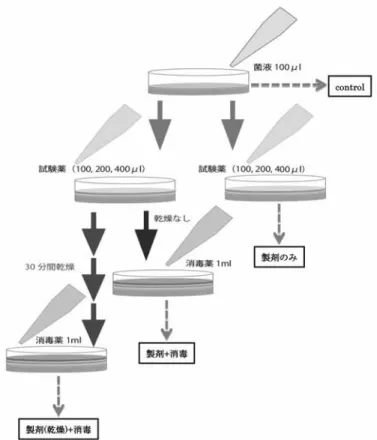 図 1 ：ハンドケア製剤下層に存在する細菌に対する消毒効果試験の実験方法 細菌を播種した上に皮膚保護剤塗布を行った際の消毒効果実験の方法