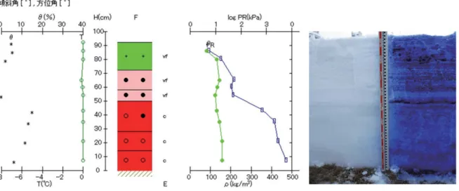 Fig. 6.5  Vertical profile of physical properties of snow at the SIRC on January 26, 2017.