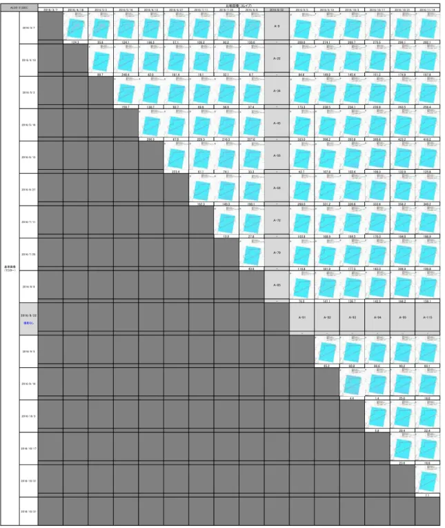 図 2.3 ALOS-2 の干渉 SAR 解析結果 