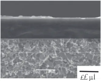 Fig. 2: Standard processes in the plasma oxidation printing. 