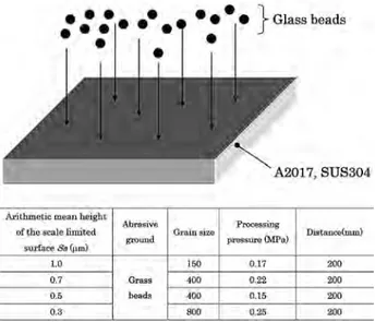 Fig. 1  Shot blast condition and target roughness.