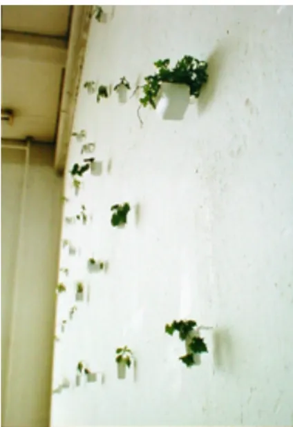 図 23 自 作 ｢Weed  pocket｣（ 1992 年 ） 図 24  ｢子 供 の 声 ｣     第 2 項 、 w e e d   シ リ ー ズ か ら ／ 微 細 な 雑 草 を 用 い た イ ン ス タ レ ー シ ョ ン 作 品              身 近 な 雑 草 を そ の ま ま 使 っ た イ ン ス タ レ ー シ ョ ン を 数多 く 行 っ た 。 初 期 の 植 物 の 細 密 画 を 描 い て い た 時 期 か ら 3年 後 の 作 品 で あ る 。 