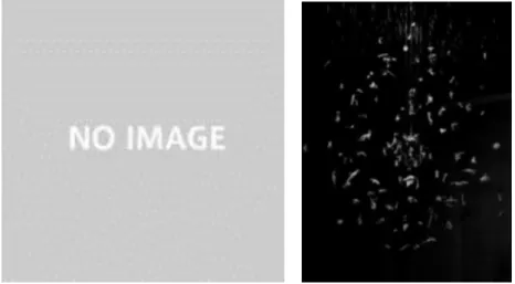 図  68  幼少の頃に影響を受けた音楽と CD ジャケット  細野晴臣  omni Sight Seeing