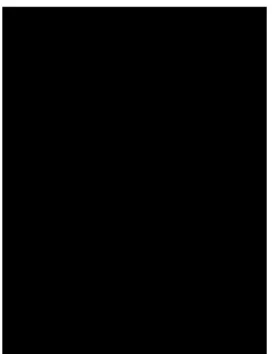 fig. 16 1891 79,8 x  60,3 cm 