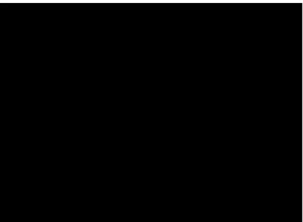 fig. 30 1895 32,6  x 43,8 cm