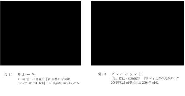 図 1 3   グ レ イ ハ ウ ン ド