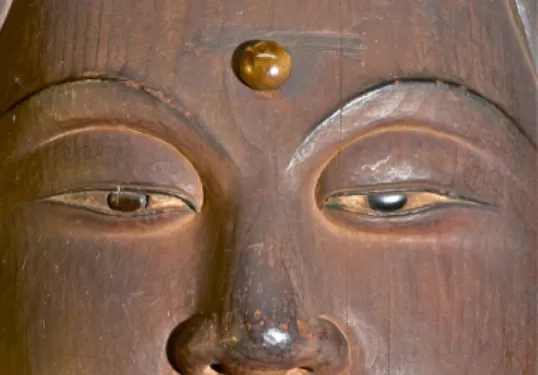 図  16  唐招提寺金堂  毘盧舎那仏坐像 
