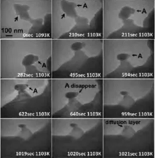 Fig. 8. Coalescence and sublimation at the temperature range of crystallization  .