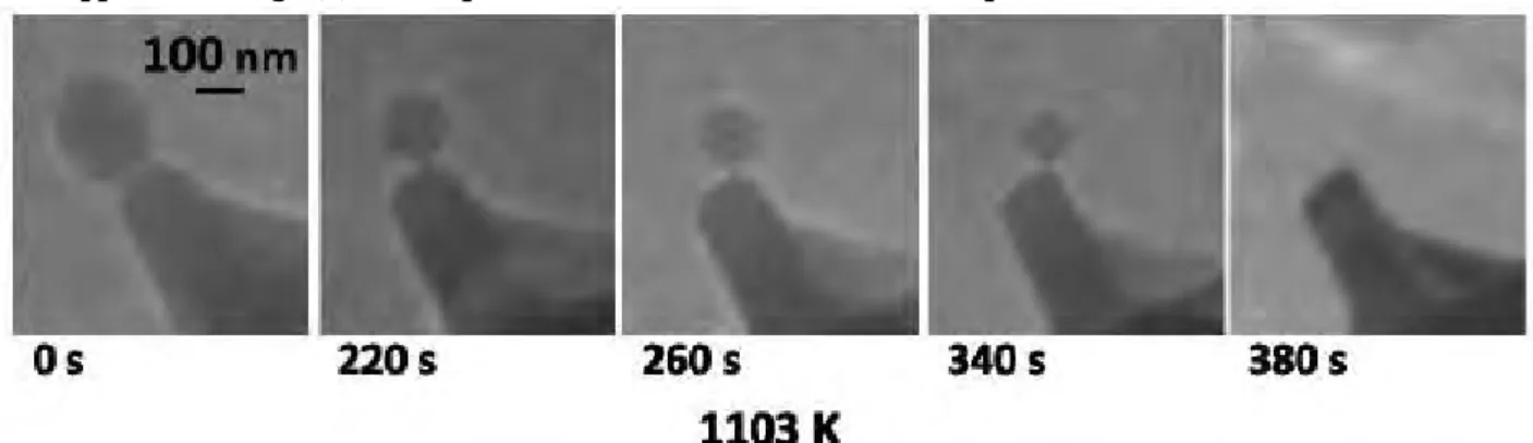 Fig. 9. During the sublimation process, the shape of crystal was altered.