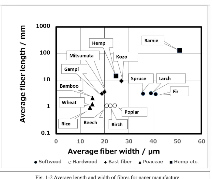 Fig. 1-2 Average length and width of fibres for paper manufacture