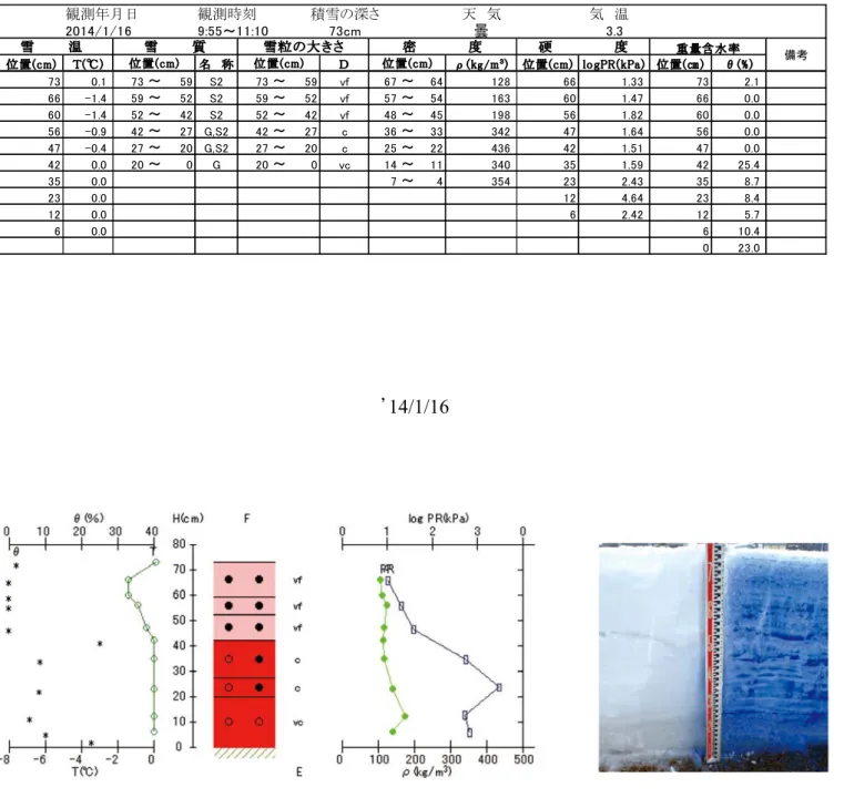Table 6.1  Physical properties of snow at the SIRC on January 16, 2014.