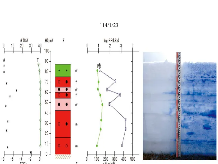 Table 6.2  Physical properties of snow at the SIRC on January 23, 2014.
