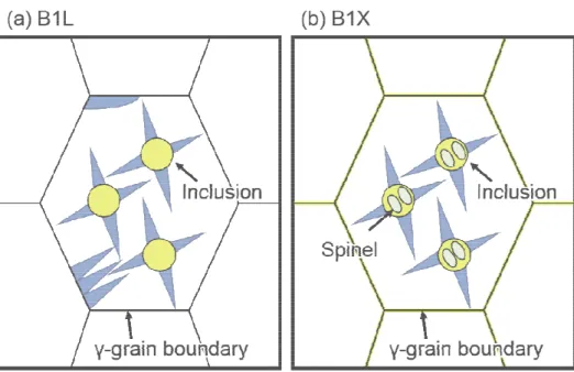 Fig. 5 Schematic illustrations of boron segregation behavior and grain boundary transformation behavior: (a) B1L; (b)  B1X
