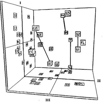 FIG.  2.  Three-dimensional  spatial  solution  for  40  similarity  matrices  generated  by  multidimensional  scaling  program  INDSCAL  (Carroll  and Chang,  1970)