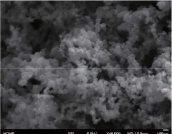 Figure 1 shows SEM photo showing the appearance  of carbon black particles used as raw materials in this  experiment