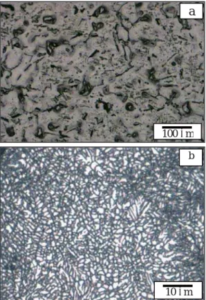 Figure 1 shows the optical microstructures of SWAP  powder, as well as that of cast Mg-Al-Zn-Ca-La alloy