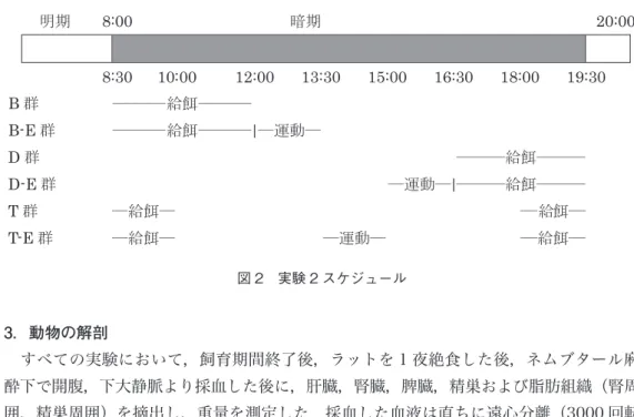 図 2　実験 2 スケジュール 3．動物の解剖 　すべての実験において，飼育期間終了後，ラットを 1 夜絶食した後，ネムブタール麻 酔下で開腹，下大静脈より採血した後に，肝臓，腎臓，脾臓，精巣および脂肪組織（腎周 囲，精巣周囲）を摘出し，重量を測定した．採血した血液は直ちに遠心分離（3000 回転 × 15 分間）を行い，血清を分離し，分析まで－ 80℃で凍結保存した． 4．血清脂質の分析方法 　血清脂質（中性脂肪，総コレステロール，HDL- コレステロール）および血清グルコー スの測定は，市販の試薬キット