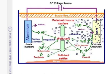 Gambar 3  Proses Elektrokimia (Holt 2001 dalam Hudori 2008) 
