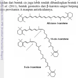 Gambar 1. Struktur  β-karoten dan isomernya (Khoo et al. 2011) 
