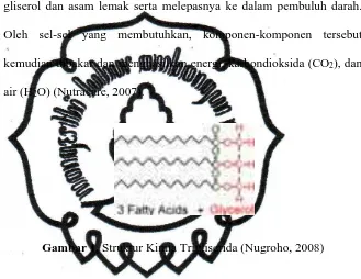Gambar 1. Struktur Kimia Trigliserida (Nugroho, 2008) 
