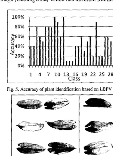 Fig. 5. Accuracy of plant identification based on LBPV (8,1). 